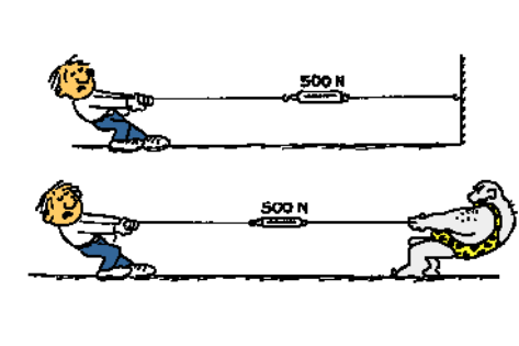 Description of image 1